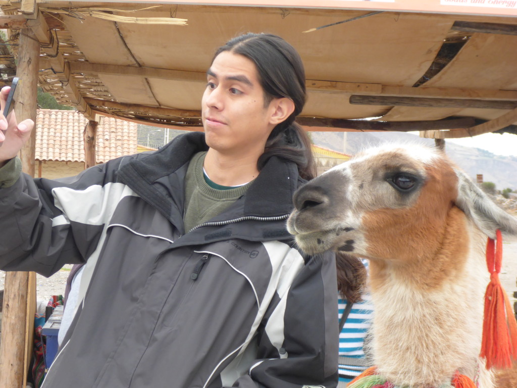 Taking a selfie with a llama