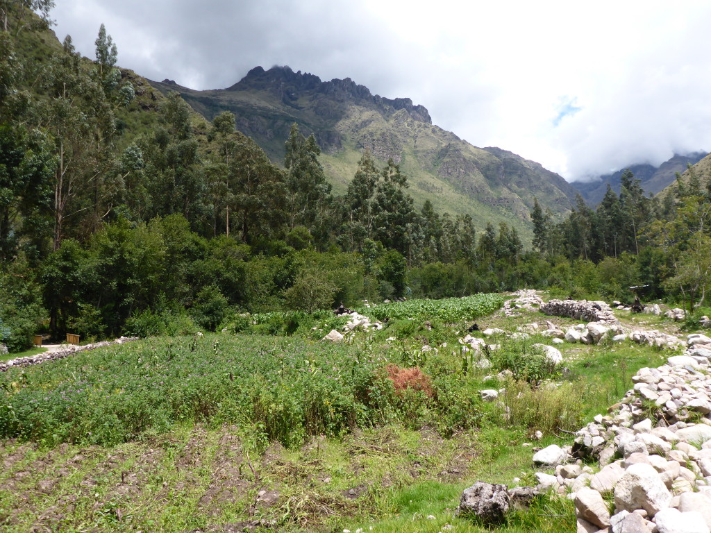 Beautiful Urubamba, Sacred Valley of the Incas!