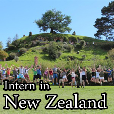 Intern in New Zealand