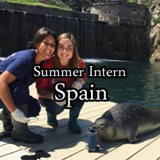 Intern in Spain