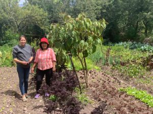 Internship in Peru